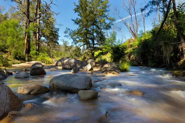 Fourth view of Homely rural property listing, 452 Yowrie Road, Yowrie NSW 2550
