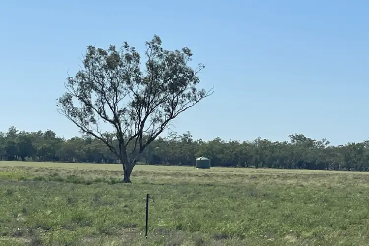 Main view of Homely rural property listing, 1737 East Culgoa Road, Brewarrina NSW 2839