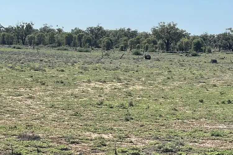 Fourth view of Homely rural property listing, 1737 East Culgoa Road, Brewarrina NSW 2839
