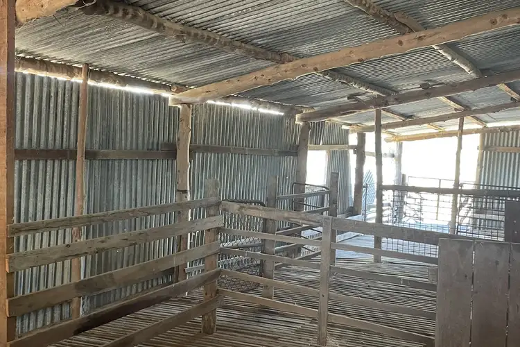 Sixth view of Homely rural property listing, 1737 East Culgoa Road, Brewarrina NSW 2839