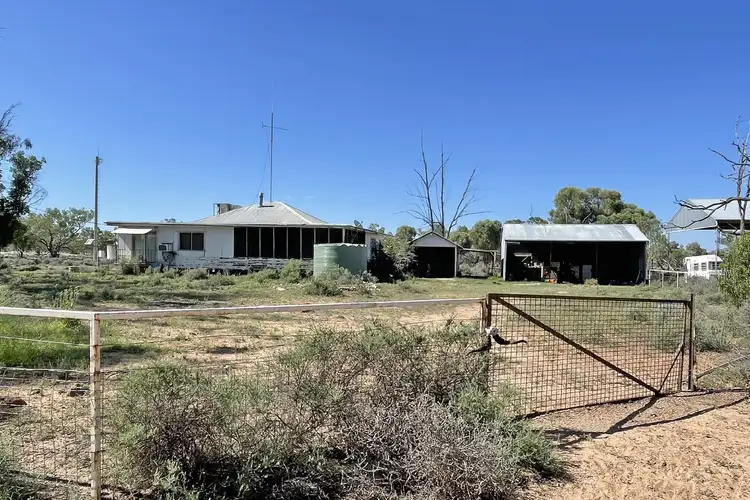 Seventh view of Homely rural property listing, 1737 East Culgoa Road, Brewarrina NSW 2839