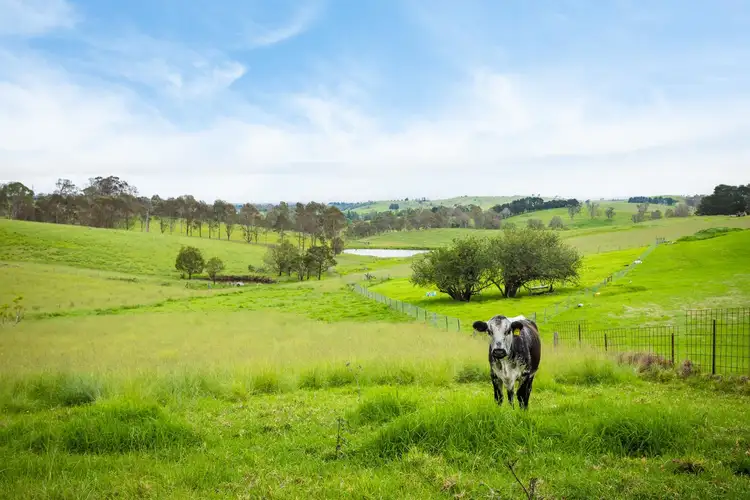 Sixth view of Homely house listing, 11 Ramseys Road, Candelo NSW 2550