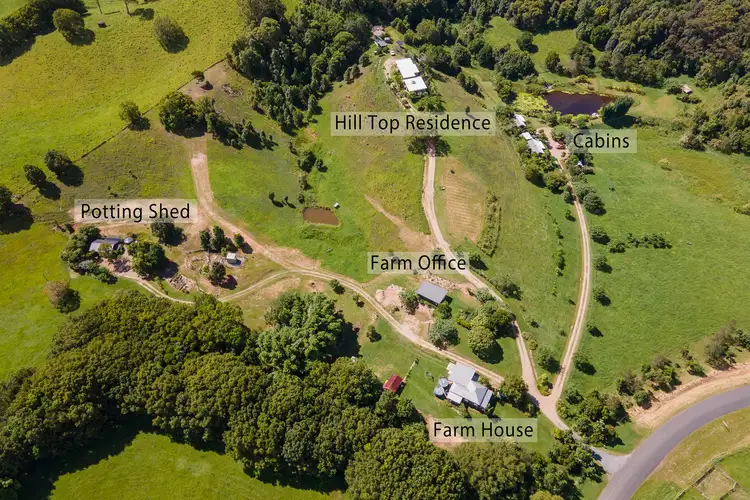 Main view of Homely house listing, 156 The Pocket Road, Billinudgel NSW 2483