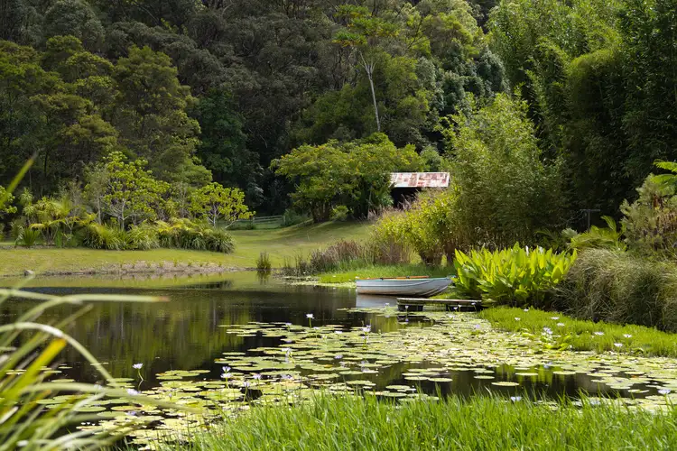 Third view of Homely house listing, 156 The Pocket Road, Billinudgel NSW 2483