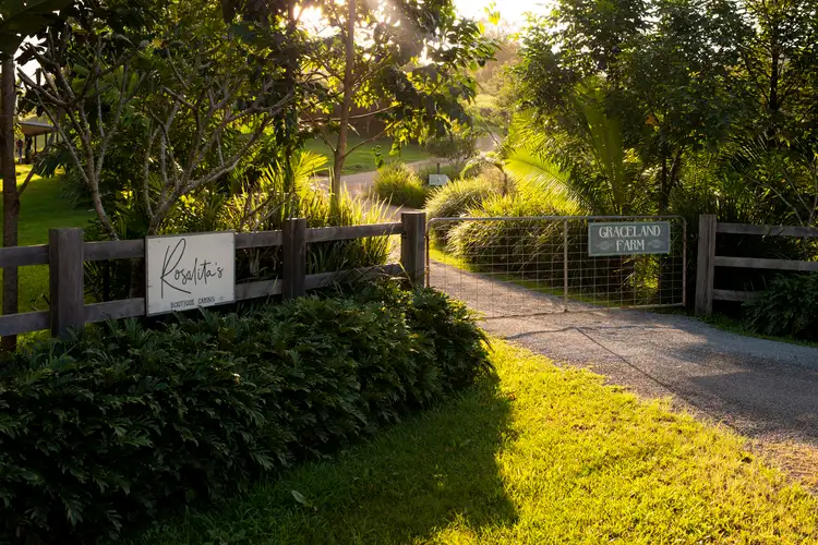 Fifth view of Homely house listing, 156 The Pocket Road, Billinudgel NSW 2483