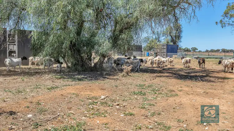 Fifth view of Homely land listing, 110 Griffith Road, Womboota NSW 2731