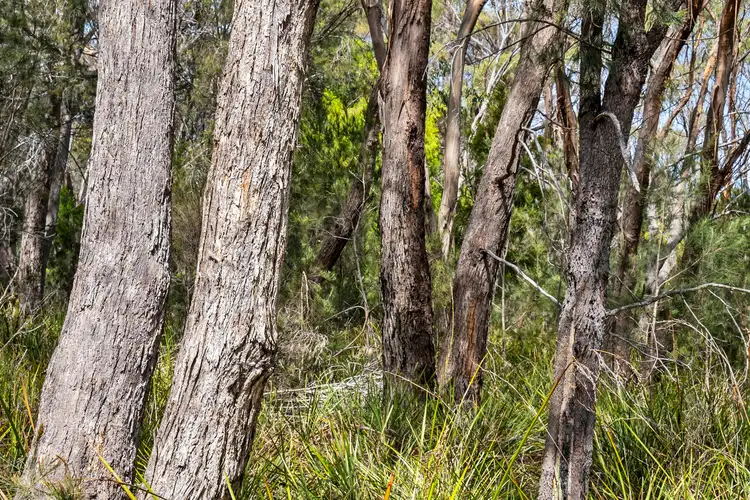 Seventh view of Homely land listing, LOT 1, 3937 Arthur Highway, Murdunna TAS 7178