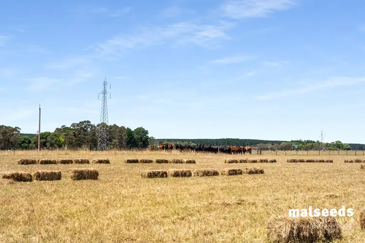 Main view of Homely land listing, LOT 136 Rocky Camp Road, Rocky Camp SA 5280