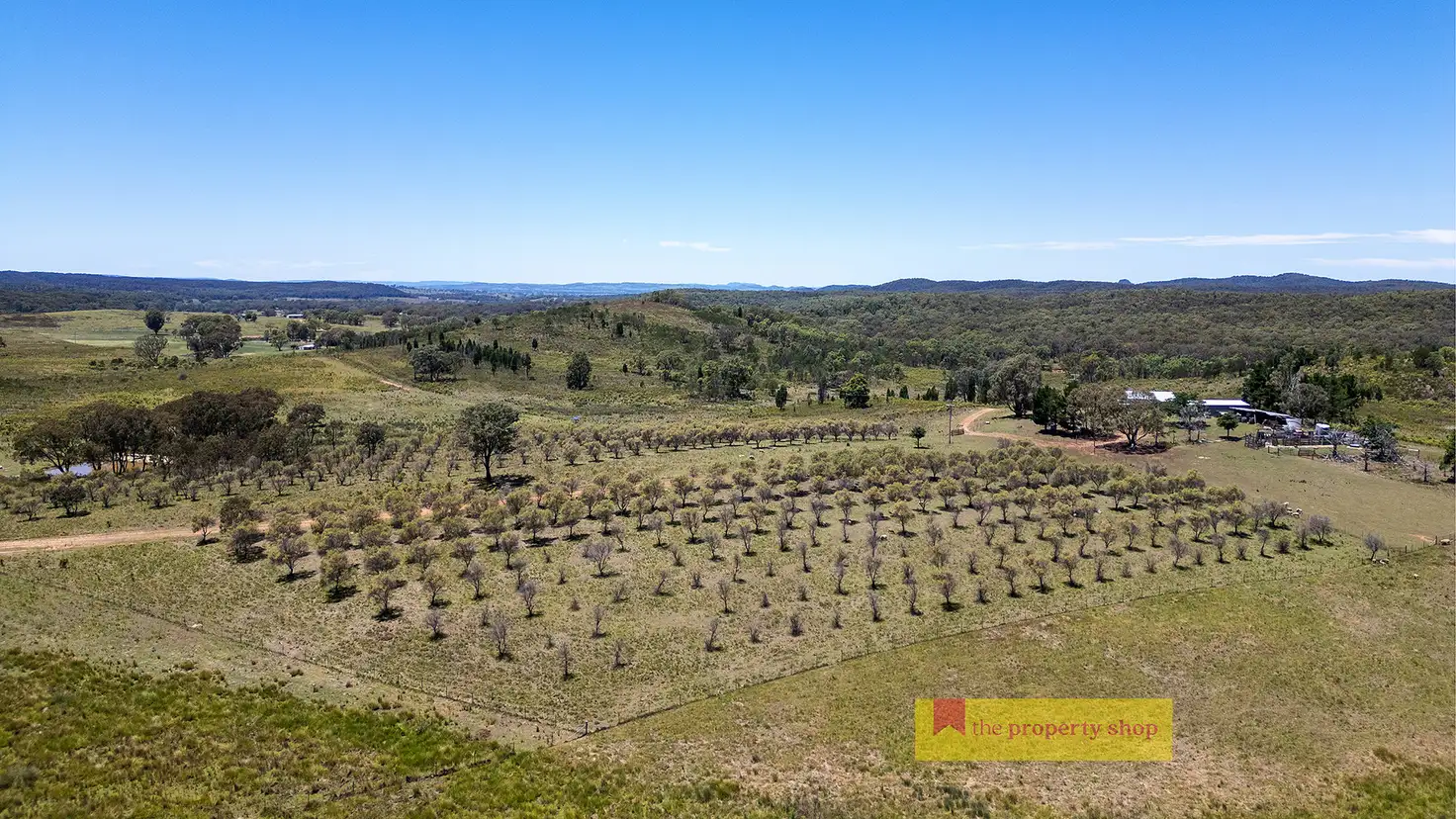 Main view of Homely rural property listing, 1732 Spring Ridge Road, Gulgong NSW 2852