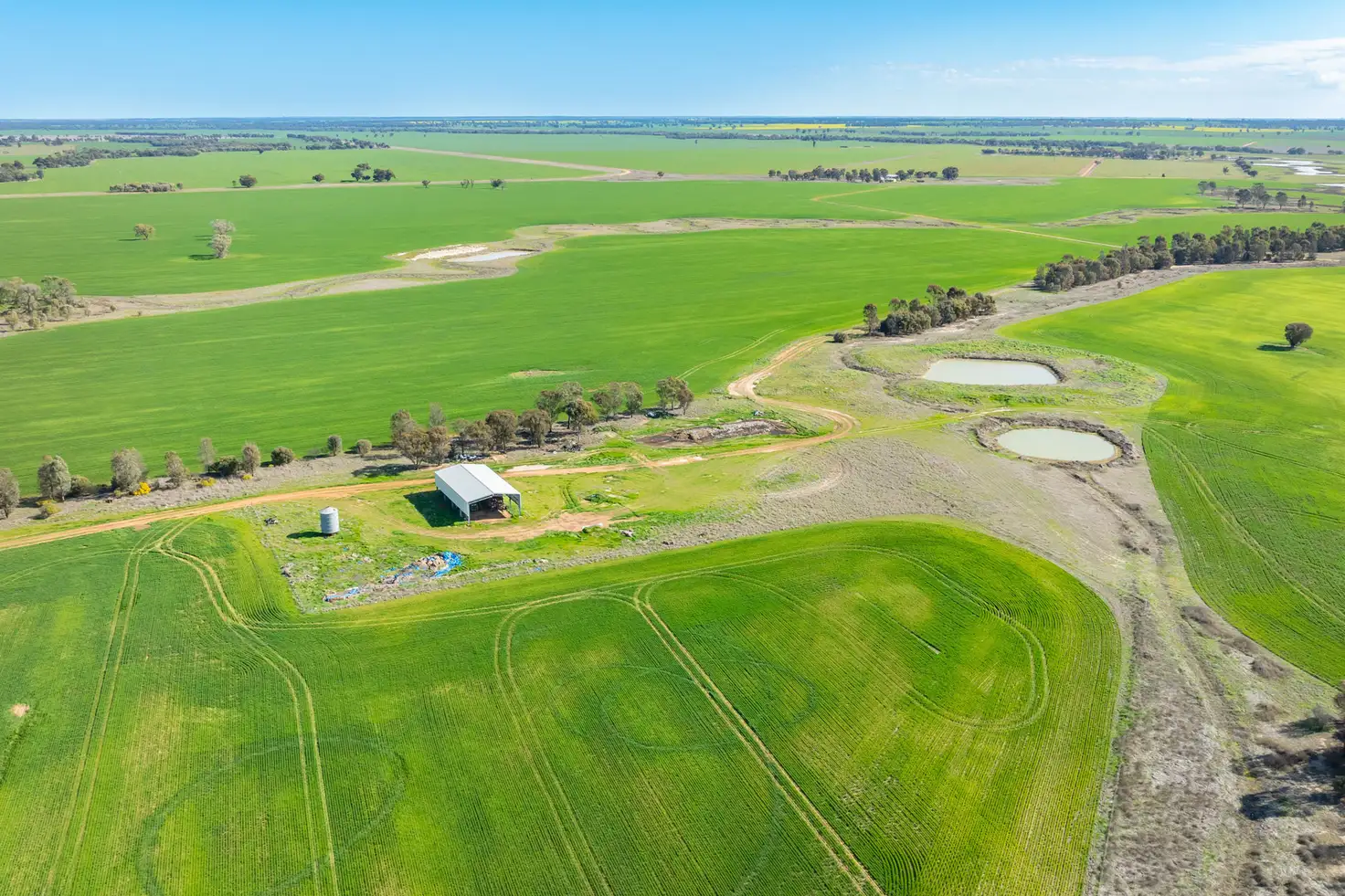 Main view of Homely rural property listing, 573 Barracluffs Road, Bidgeemia NSW 2642