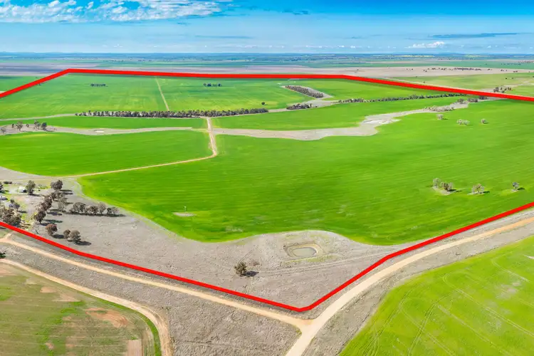 Third view of Homely rural property listing, 573 Barracluffs Road, Bidgeemia NSW 2642