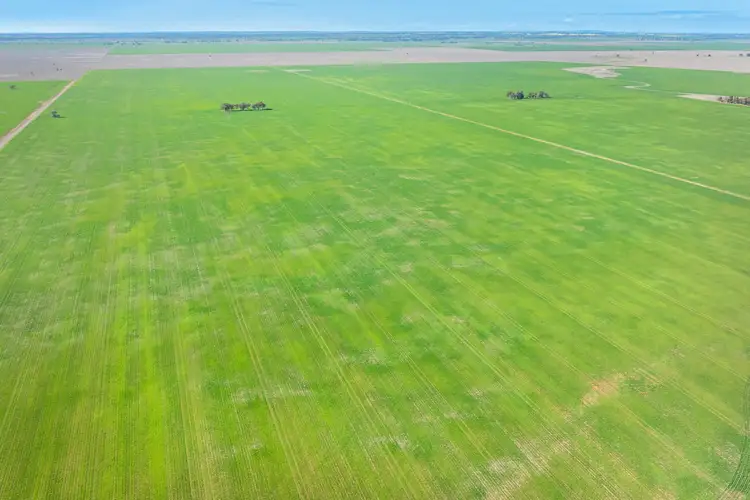 Fifth view of Homely rural property listing, 573 Barracluffs Road, Bidgeemia NSW 2642