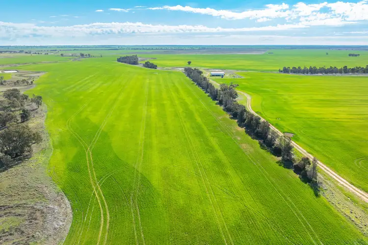Sixth view of Homely rural property listing, 573 Barracluffs Road, Bidgeemia NSW 2642