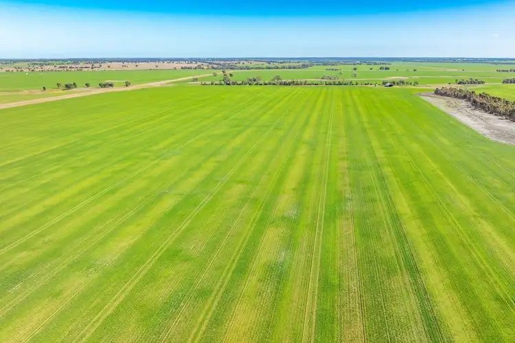 Seventh view of Homely rural property listing, 573 Barracluffs Road, Bidgeemia NSW 2642