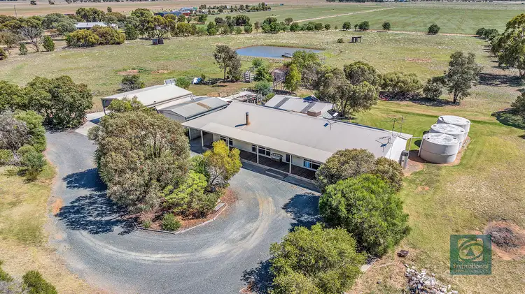 1222 Mount Terrick Road, Echuca VIC 3564