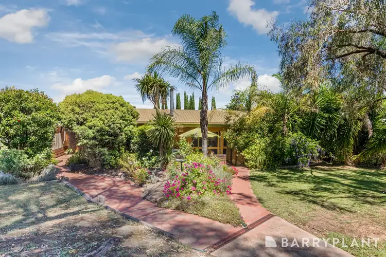 6 Elwood Street
