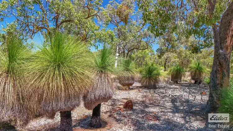 Third view of Homely land listing, 164 Darwinia Crescent, Coondle WA 6566