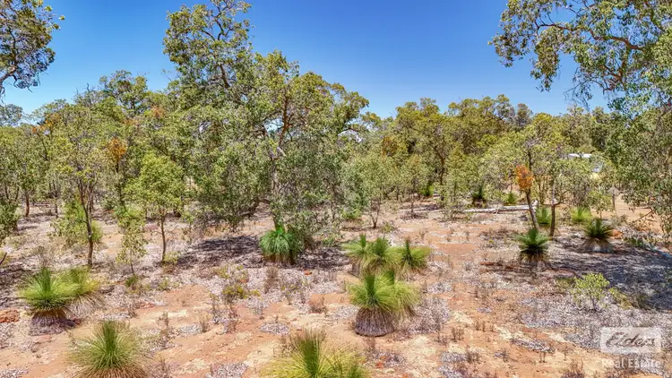 Sixth view of Homely land listing, 164 Darwinia Crescent, Coondle WA 6566