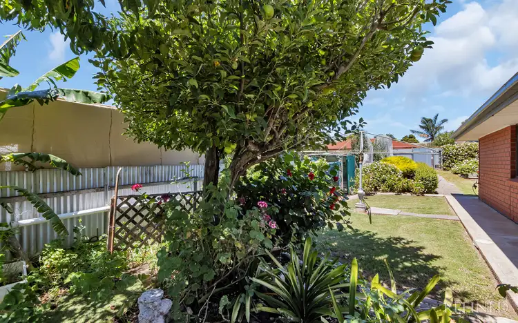 Third view of Homely house listing, 1 Tracy Way, Morphett Vale SA 5162