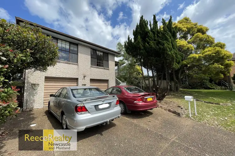 19A Viminaria Place, Warabrook NSW 2304