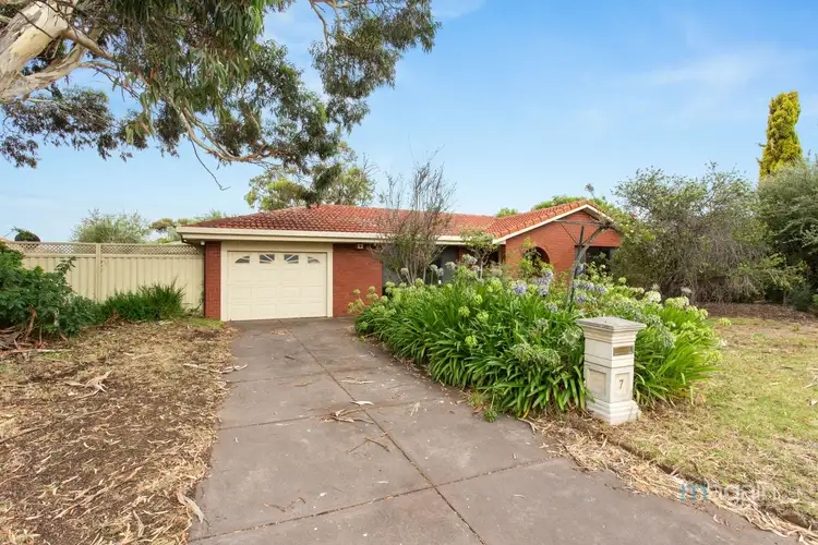 Main view of Homely house listing, 7 Belvidere Street, Happy Valley SA 5159