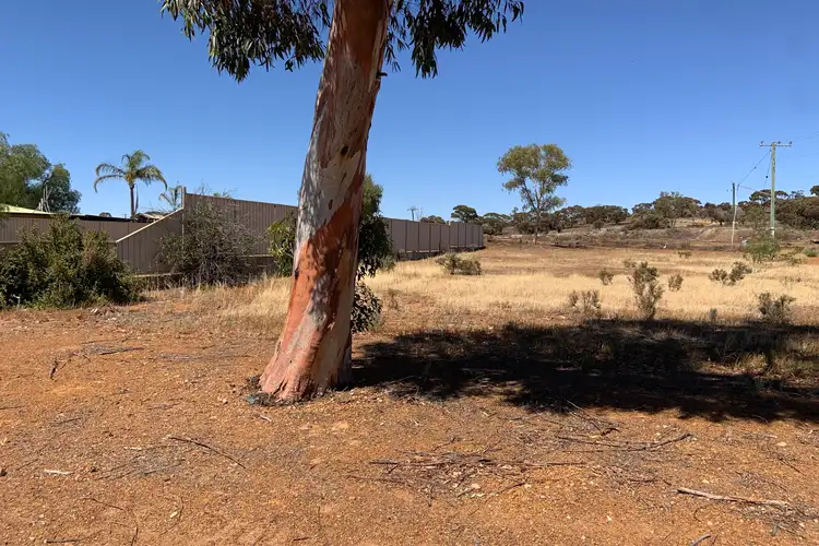 14 Altair Street, Southern Cross WA 6426