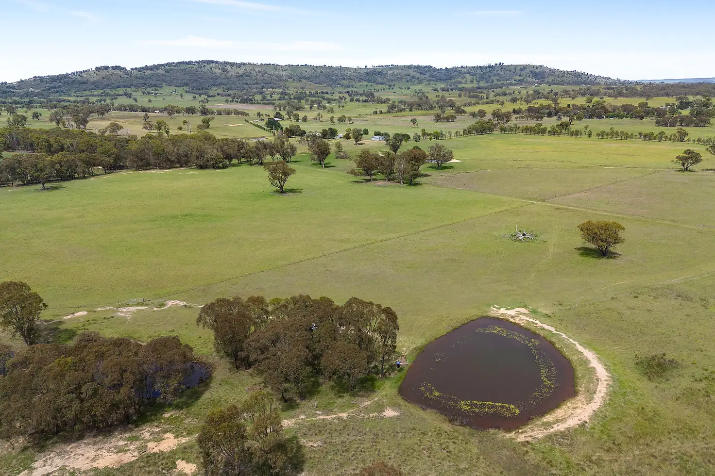 Main view of Homely rural property listing, 214 Pyangle Road, Camboon NSW 2849