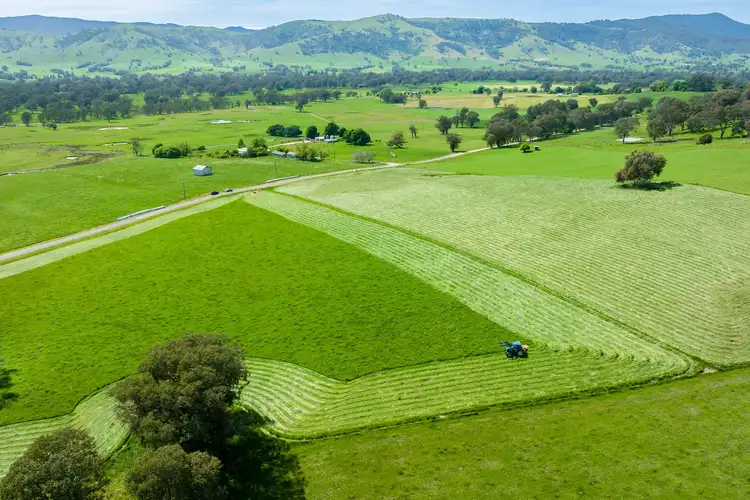 Third view of Homely rural property listing, 95 Hellhole Creek Road, Kergunyah VIC 3691