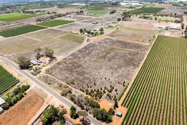 Second view of Homely rural property listing, 350 Dairtnunk Avenue, Cardross VIC 3496