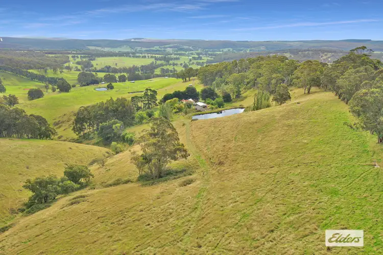 Third view of Homely rural property listing, 289 Lays Road Extension, Willung South VIC 3847