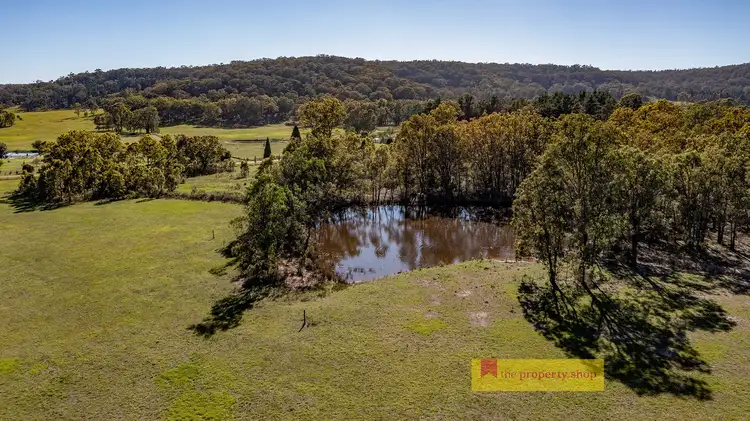 Third view of Homely rural property listing, 26 Red Box Lane, Mudgee NSW 2850