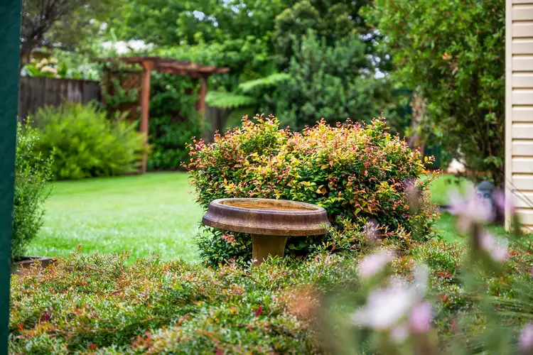 Third view of Homely house listing, 13 Maple Grove, Wentworth Falls NSW 2782