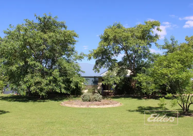 Main view of Homely house listing, 61 Derrick Avenue, Dalby QLD 4405