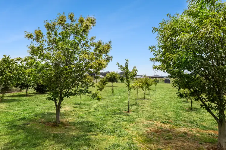 Fifth view of Homely land listing, 36 Matts Lane, Coomoora VIC 3461