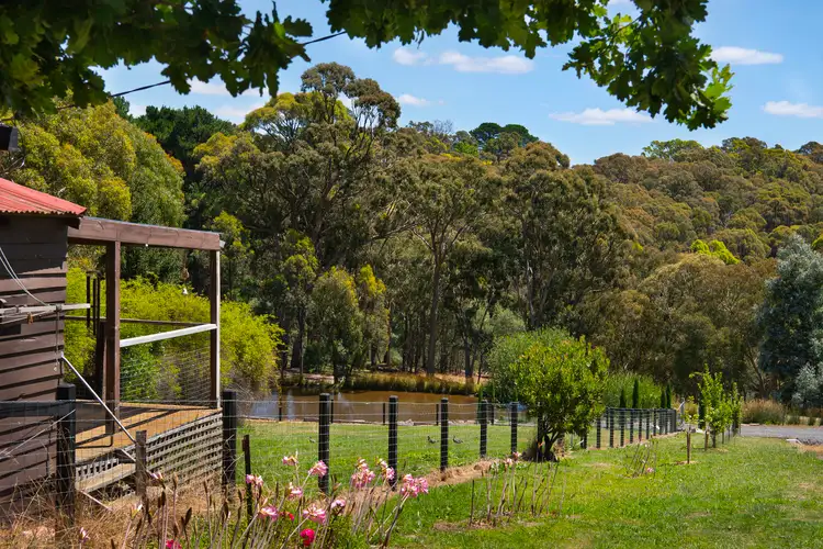 Main view of Homely house listing, 23 Trimble Street, Daylesford VIC 3460
