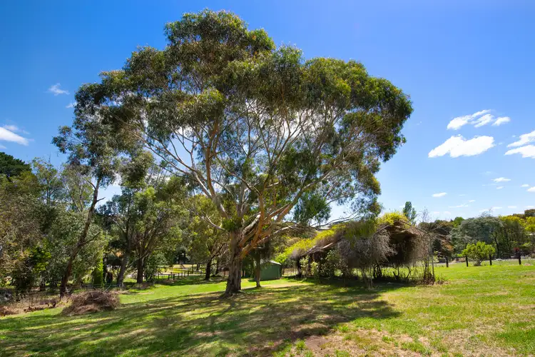 Fourth view of Homely house listing, 23 Trimble Street, Daylesford VIC 3460