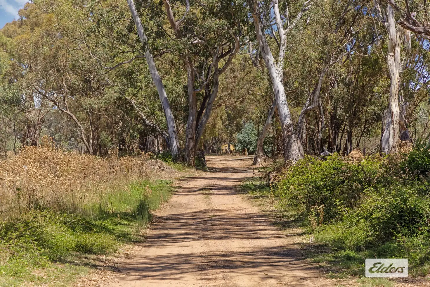 Main view of Homely rural property listing, Gibbon Street, Walmer VIC 3463