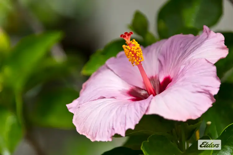 Fourth view of Homely house listing, 5 Allowrie Street, Jamberoo NSW 2533