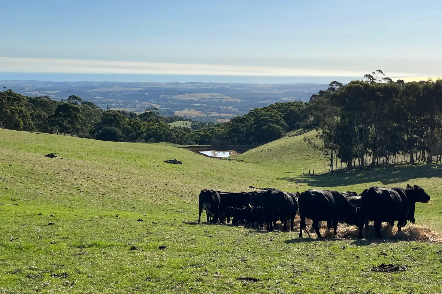 Main view of Homely rural property listing, 1205 Range Road, Mclaren Flat SA 5171