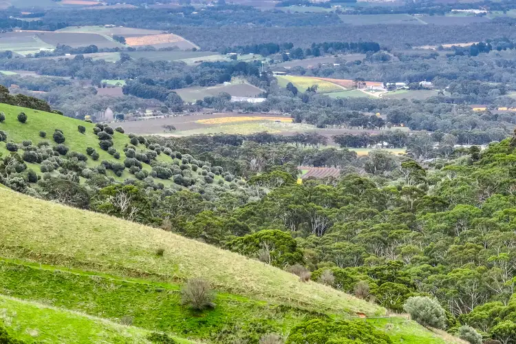 Fourth view of Homely rural property listing, 1205 Range Road, Mclaren Flat SA 5171