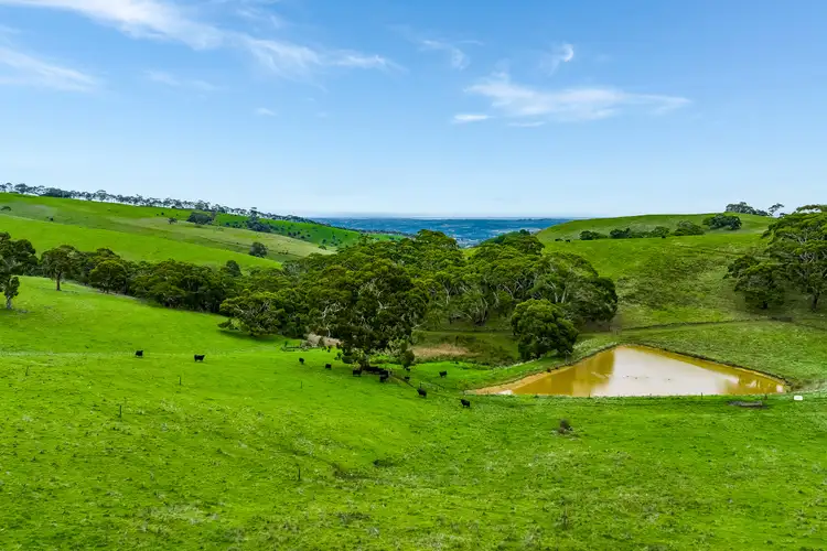 Sixth view of Homely rural property listing, 1205 Range Road, Mclaren Flat SA 5171