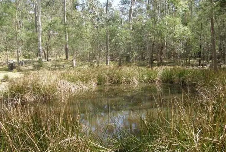 3266 Blacksmith Shop Road, Newton Boyd NSW 2370