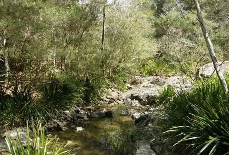 Second view of Homely rural property listing, 3266 Blacksmith Shop Road, Newton Boyd NSW 2370