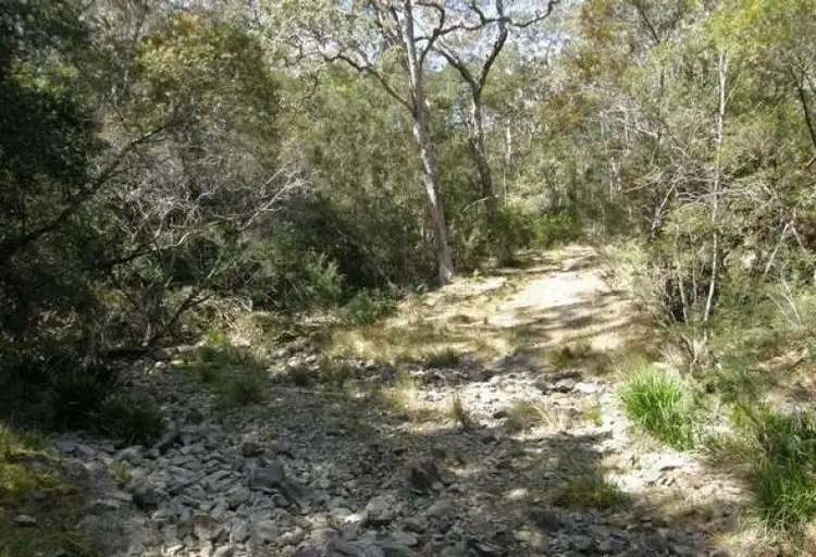 Third view of Homely rural property listing, 3266 Blacksmith Shop Road, Newton Boyd NSW 2370