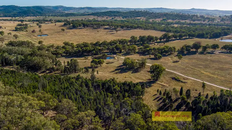 Fifth view of Homely rural property listing, 303 Lower Piambong Road, Mudgee NSW 2850