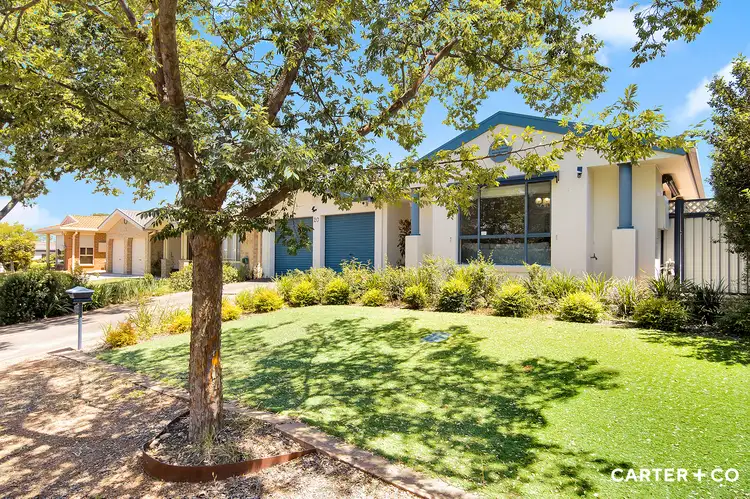 20 Auburn Street, Amaroo ACT 2914