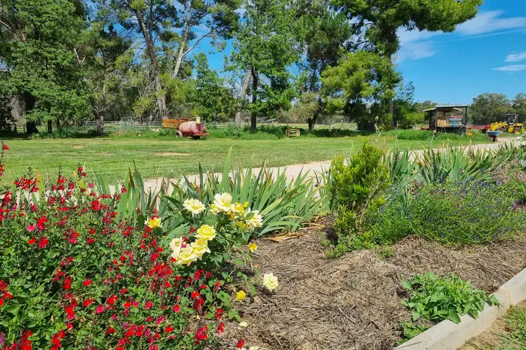 Third view of Homely rural property listing, 30 Brookman Road, Canowindra NSW 2804