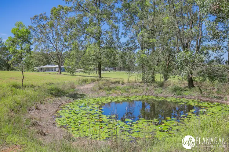 Fourth view of Homely rural property listing, 1317 Collombatti Road, Collombatti NSW 2440