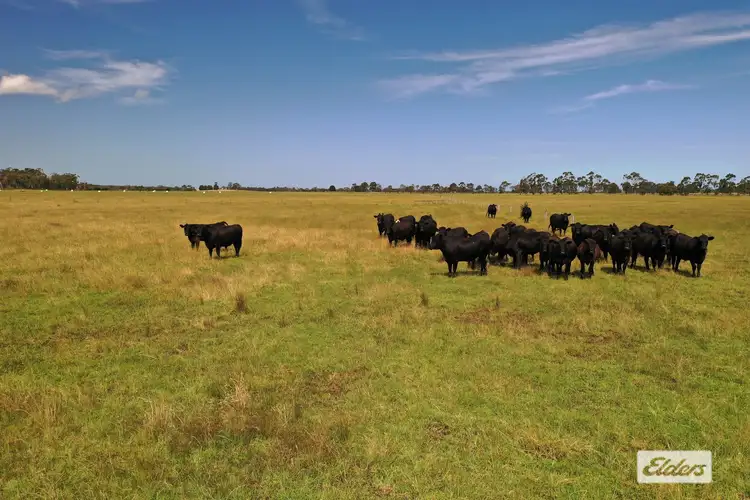 Bradleys Road, Stradbroke VIC 3851