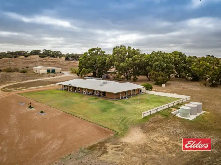 Main view of Homely house listing, 62 Wimpole Road, Bonniefield WA 6525